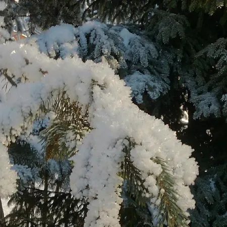 Quellenhof D04 Apartment *