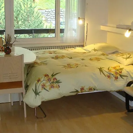 Apartment Quellenhof D04 Davos