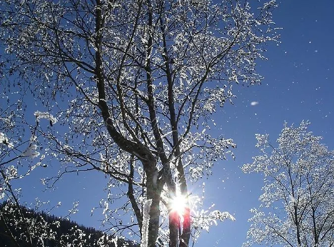 Quellenhof D04 Apartman Davos