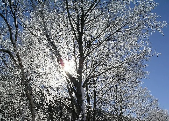 Quellenhof D04 Apartman