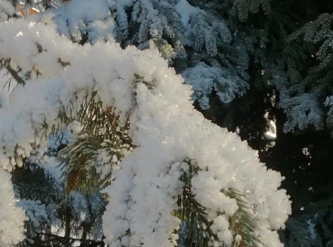 Quellenhof D04 Apartman *