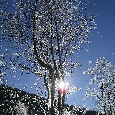 Quellenhof D04 Διαμέρισμα Νταβός